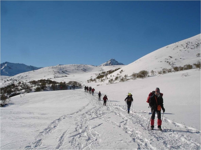 Camino por la nieve